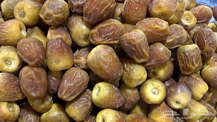 تمر سكري فاخر ومتنوع من مزارعنا بالقصيم بريدة الغماس 2