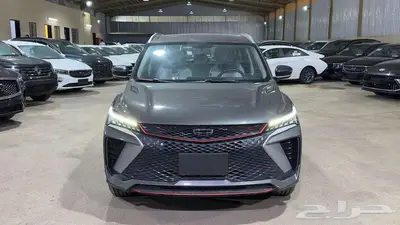 جيلي كولراي استاندر 2024 6