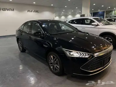 بي واي دي تشين بلس 2024 0