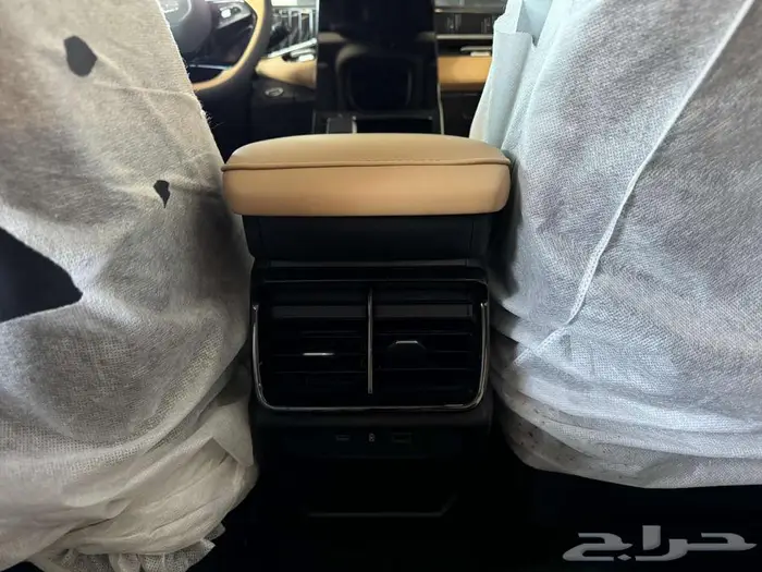 جيلي ستار راي FX11-GL 2024 10