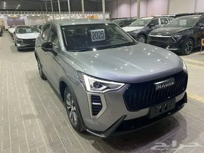 هافال جوليان بيسك 2025 رمادي سعودي 30