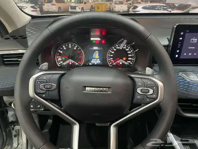 هافال جوليان بيسك 2025 رمادي سعودي 35