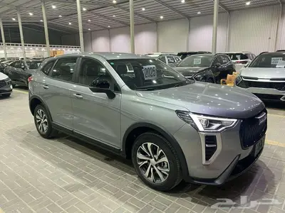 هافال جوليان بيسك 2025 رمادي سعودي 40