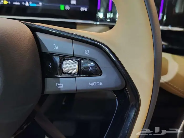 جيلي ستارري 2024 جميع الفئات 27