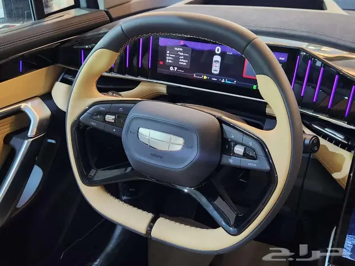 جيلي ستارري 2024 جميع الفئات 21