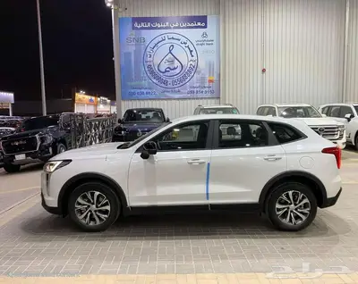 هافال جوليان بيسك 2025 ابيض سعودي 18