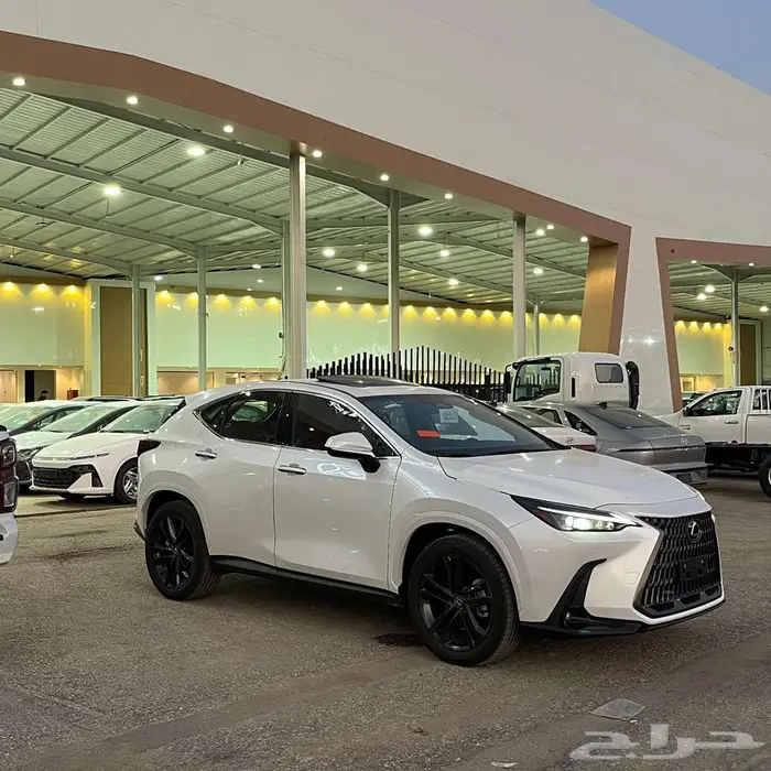 NX350 AA بنزين 2025 كاش و اقساط 0