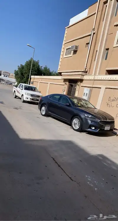 كادنزا 2018 3