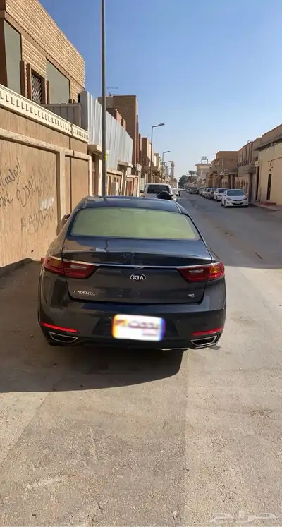 كادنزا 2018 6