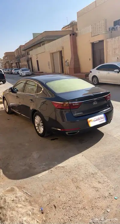 كادنزا 2018 5