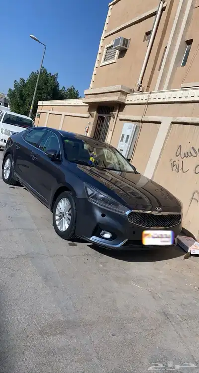 كادنزا 2018 2