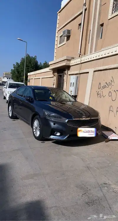 كادنزا 2018 4