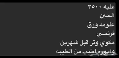 حصان واهو 2