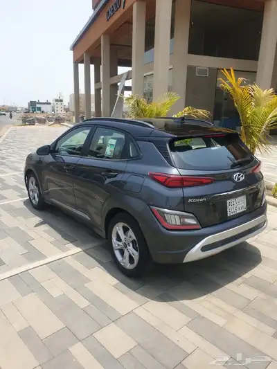 للبيع كونا 2022 8