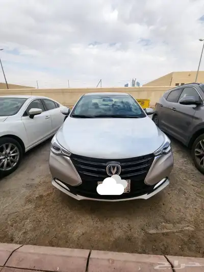 شانجان السفن 0