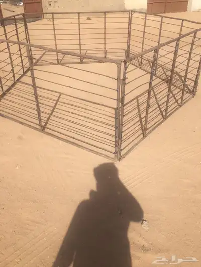 شبك غنم 1