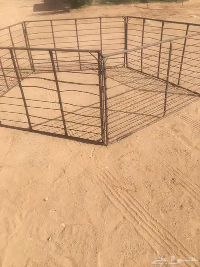 شبك غنم 2