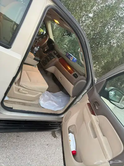يوكن 2010 الممشى 323 2