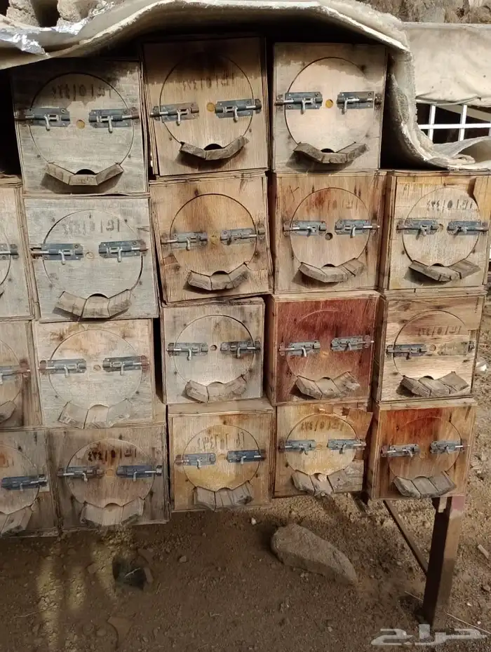 30 خلية محايلي مستعملة للبيع 1
