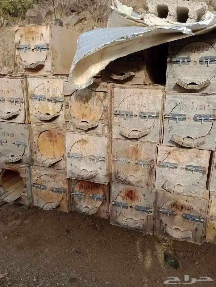 30 خلية محايلي مستعملة للبيع 2