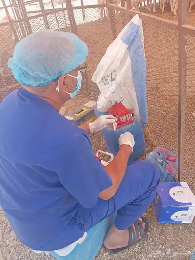 مركز صفوة الجياد 4
