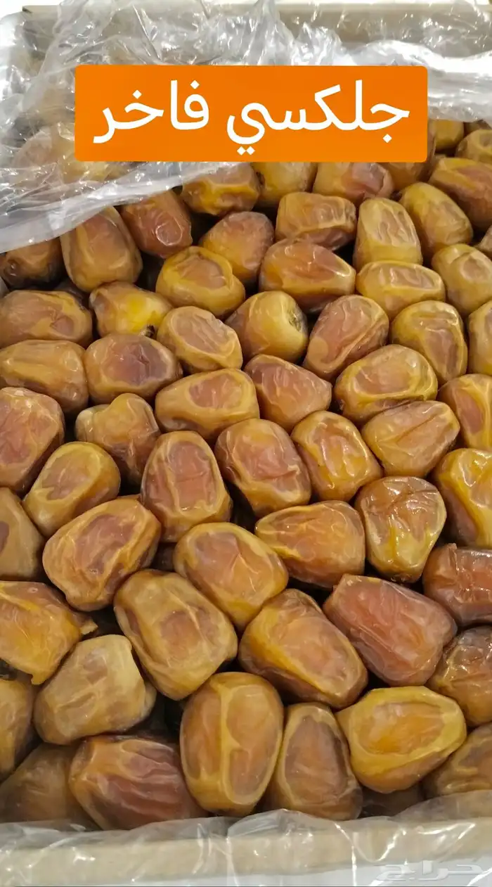 تمر سكري فاخر ملكي 1
