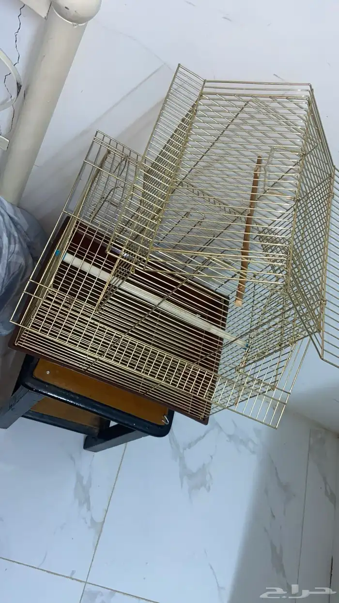 قفص عصافير 2