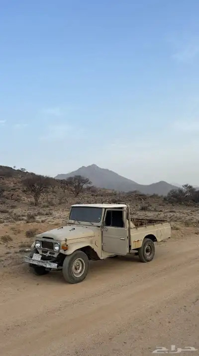 جيب شاص 81 0
