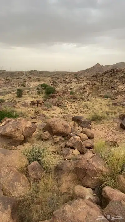 للبيع ارض في المحاله مخطط 744 مساحة 750م2 0