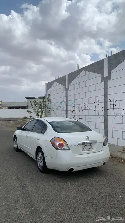 التيما 3