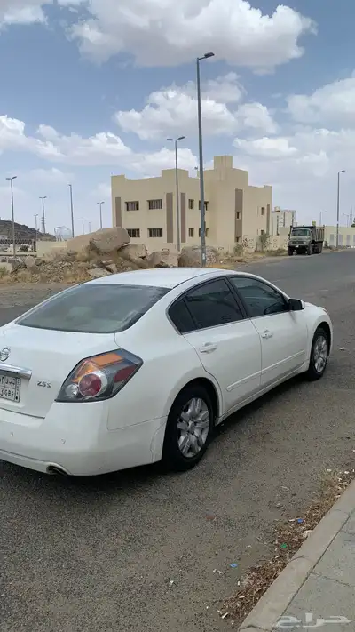 التيما 2