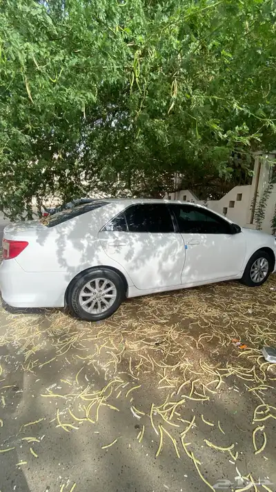 كامري 2013 GL 31