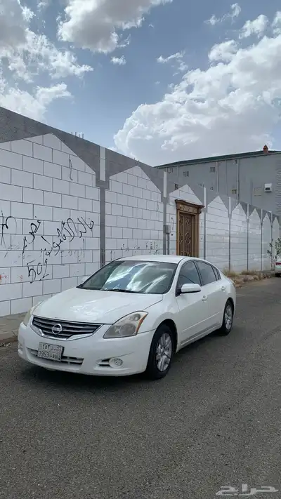 التيما 0