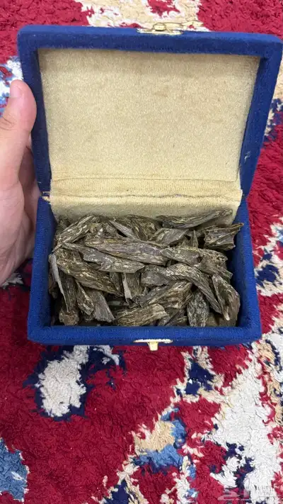 للبيع عود 0