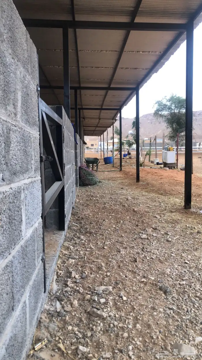 يوجد إيواء خيول 0