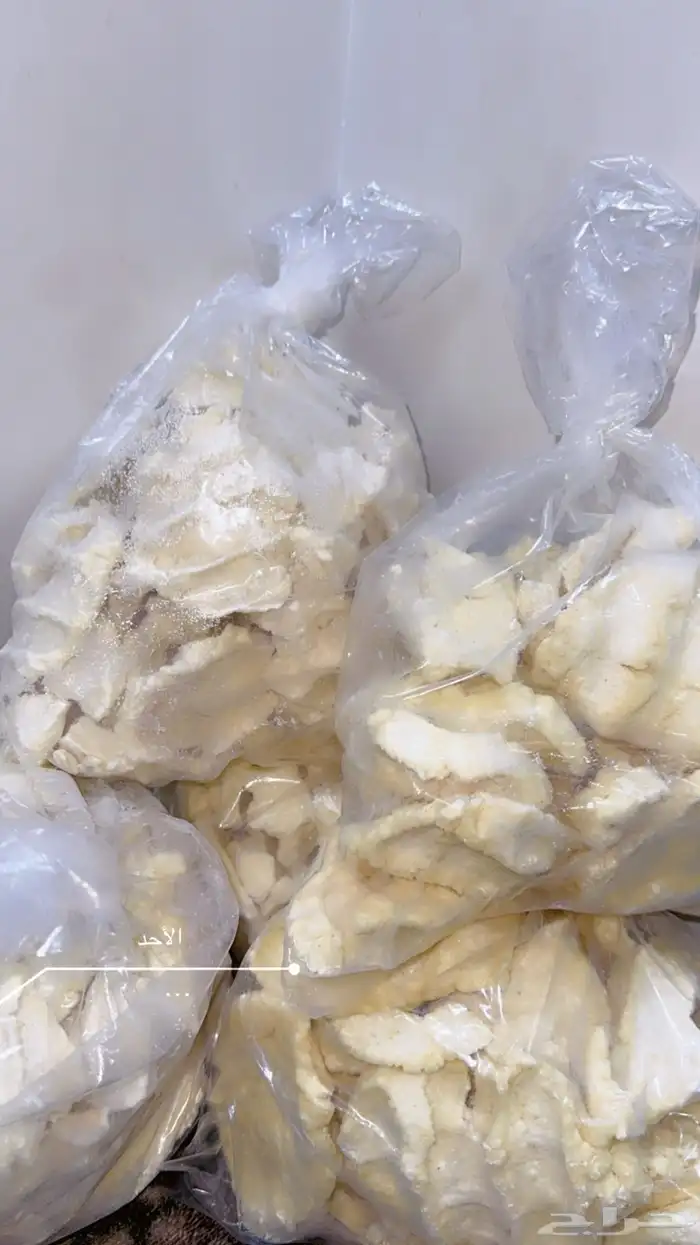 مضير غنم مضمون جديد تو مسوينه و 0