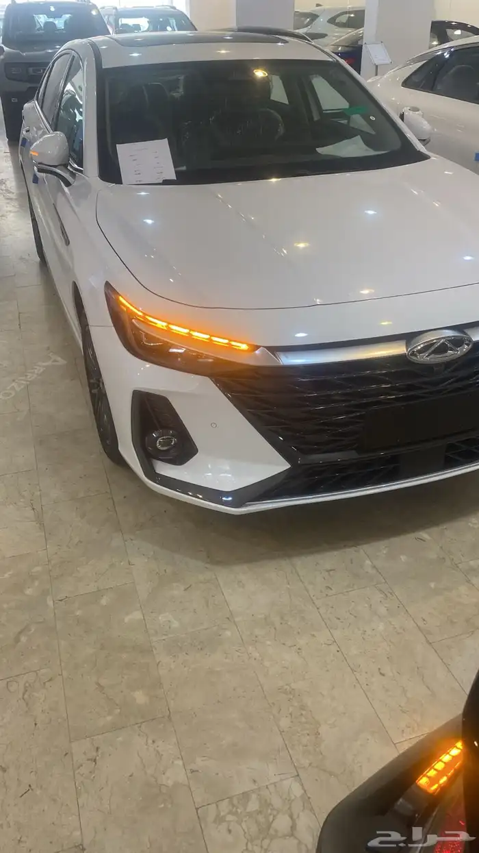 شيري اريزو 8 2025 3