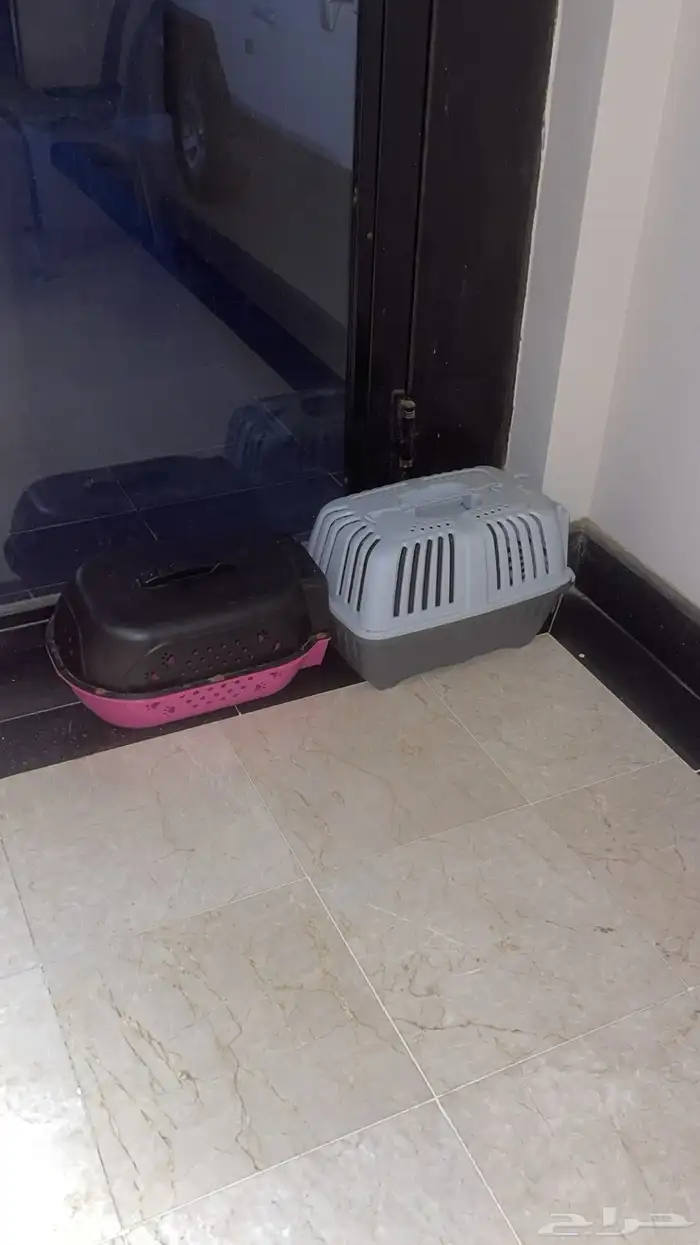 صناديق تنقل للقطط مع طاولة لعب القطط 2