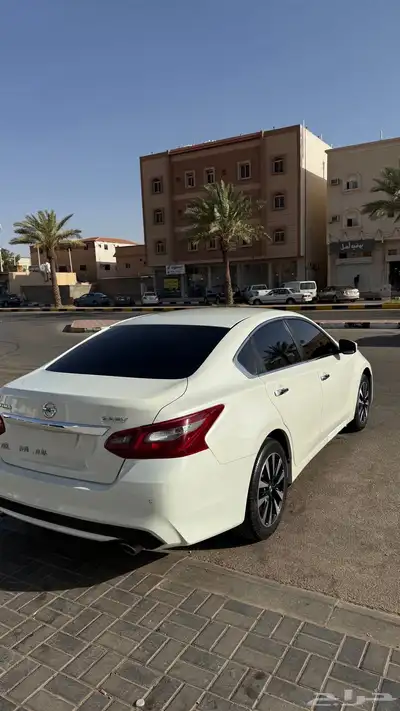 التيما2018 نص فل 2