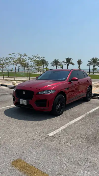 للبيع جاكوار اف بيس 0