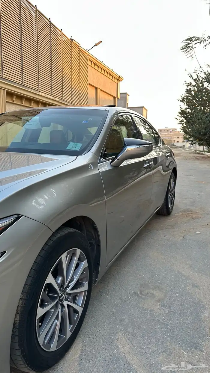 تم البيع 18