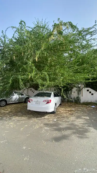 كامري 2013 GL 29