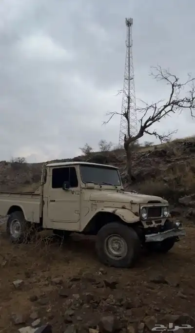 جيب شاص 81 2