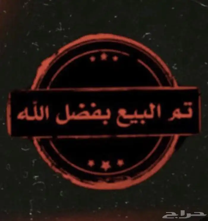 فحل نجدي ابيض مشروط 1