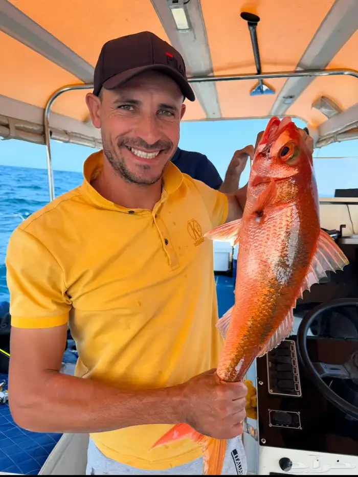 رحلات بحرية مرسى البحر الاحمر 6