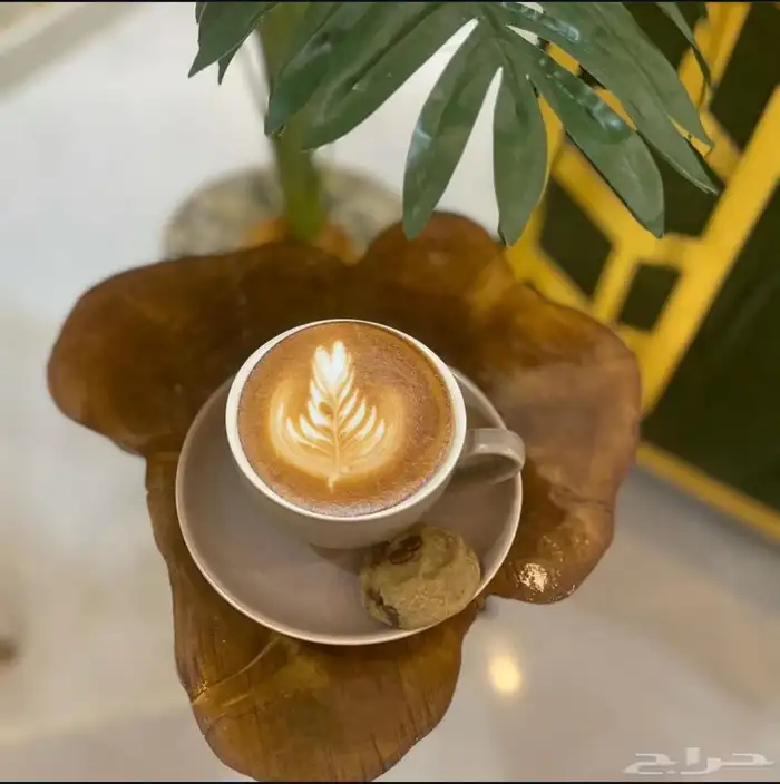 طاولة خشب طبيعي 1