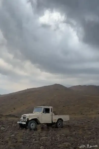 جيب شاص 81 3