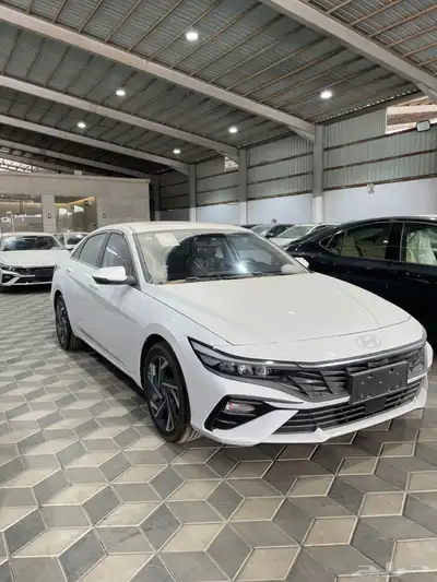 النترا 2025 بطاقة جمركيه 2