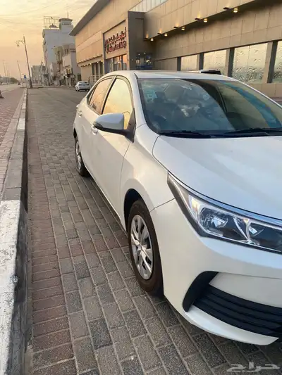 كورولا 2019 0