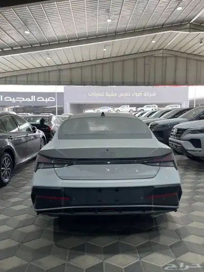 النترا 2025 بطاقة جمركيه 4